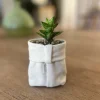 GG-ProductImages10 Succulent in a Soft Pot