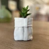 GG-ProductImages9 Succulent in a Soft Pot